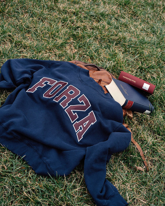 IVY LEAGUE MOCKNECK - NAVY