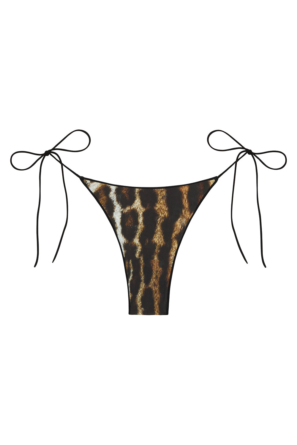 Tropic of C The C Bottom in Ocelot